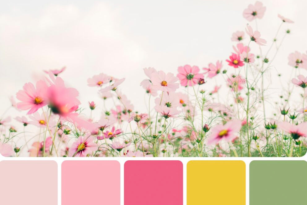 4. The Spring Color Palette