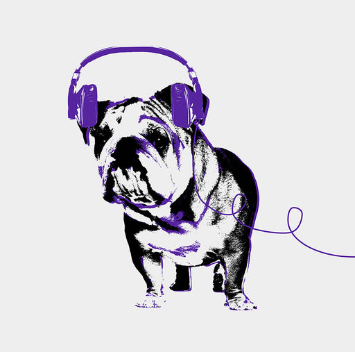 dog purple artwork